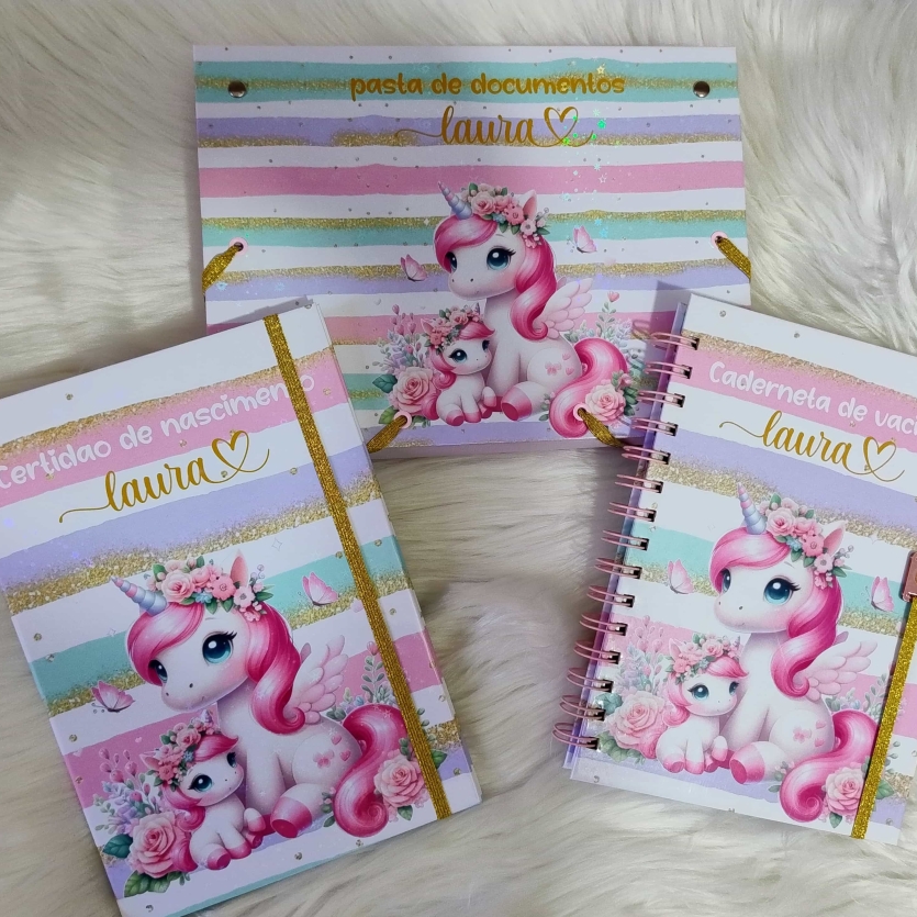 Kit documentos do bebê menina
